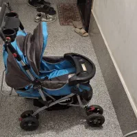 کالسکه|کالسکه و لوازم جانبی|قدس, شهر‌قدس|دیوار