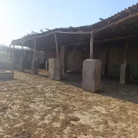 زمین تپه سلام سوله برای گاوداری مرغ داری انباری|فروش دفتر صنعتی، کشاورزی، تجاری|رضویه, |دیوار