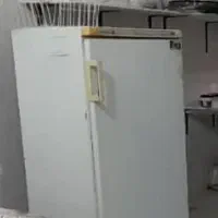 فریزر سالم قطب شمال