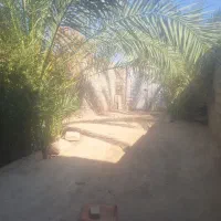 منزل اجاره ای شوشتری داب