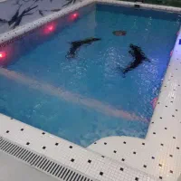 اجرای استخر جکوزی