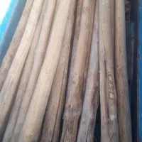 خریدار چوب کار و زغالی|خدمات باغبانی و درختکاری|سمیرم, |دیوار