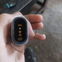 پاد ارگاس|زیورآلات و اکسسوری|شیراز, گویم|دیوار