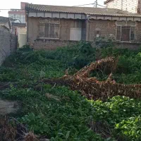 فروش، معاوضه، مشارکت