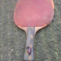 راکت پینگ پنگ فرینگ شیپ|ورزشهای توپی|کرمان, |دیوار