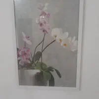 تابلو مدرن ،شکلآت خوری ،و جآشمعی|تابلو، نقاشی، عکس|میانه, |دیوار