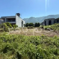 زمین-بغل-ساخت-خوش-آب-وهوا-جنگلی