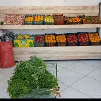 واگذاری تره باری و میوه فروشی چغادک