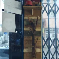 دکور|کتابخانه، شلف، قفسه‌های دیواری|یاسوج, |دیوار