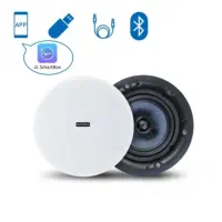 اسپیکر سقفی بلندگو ستونی باند دیواری آمپلی فایر WX|سیستم صوتی خانگی|تهران, بازار|دیوار