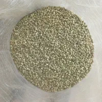 بذر نخود فرنگی