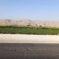 فروش ۹هکتار زمین کشاورزی