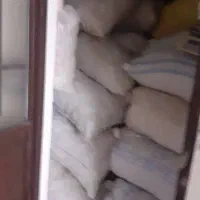 گردو بومی|خوردنی و آشامیدنی|فولادشهر, فولادشهر|دیوار