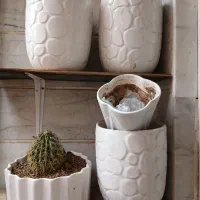 گلدان سرامیکی بسیار تمیز