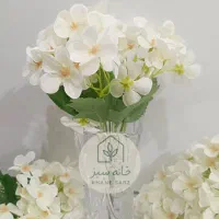 گل و گلدان