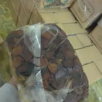 خرما دانه ریز