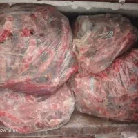 غذای گربه سگ