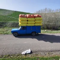 کاه گندم (کاهکوب)|عمدهفروشی|میانه, |دیوار