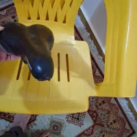 زین دوچرخه d2. مارک velo|دوچرخه، اسکیت، اسکوتر|قم, شهرک قدس|دیوار