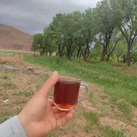 زمین موقعیت عالی