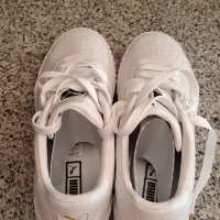 کفش اورجینال|کیف، کفش، کمربند|اراک, |دیوار