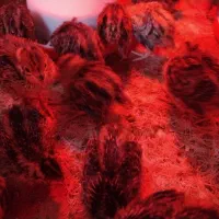 جوجه بلدرچین هندیجان|حیوانات مزرعه|هندیجان, |دیوار