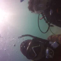 آموزش غواصی حبس نفس استخر با ارائه مدرک بینالمللی|خدمات آموزشی|حمیدیا, |دیوار