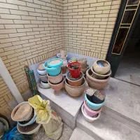 گلدان سفالی و پلاستیکی|گل و گیاه طبیعی|شیراز, شاه قلی بیگی|دیوار