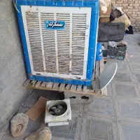 کلر بزرگ سالم همه چیز سالم مفت