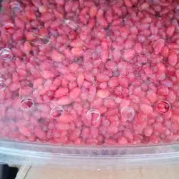 زرشک تازه دونه شده قاین حراج نیم کیلو 150|خوردنی و آشامیدنی|قم, شاه سید علی|دیوار