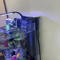 فیلتر هنگان wp 638 h ودرختچه وسنگ بزرگ مشکی