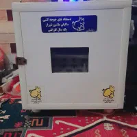 دستگاه جوجه کشی ماکیان شیراز اتوماتیک