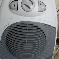 تاوه نان تمشیت پیدا شده