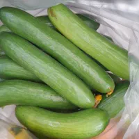 میوه فروشی برکت|خوردنی و آشامیدنی|فولادشهر, مسکن مهر فولادشهر|دیوار