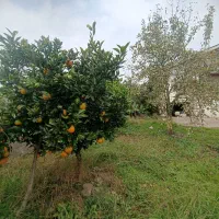 ویلای شهری ۷۰۵متری سند دار|فروش خانه و ویلا|رضوانشهر, |دیوار