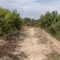 باغ هزار متر دارای سهمیه آب لوله کشی شده داخل باغ|فروش زمین و ملک کلنگی|رباط‌کریم, رباط‌کریم|دیوار