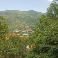 230متر زمین داخل بافت مسکونی لکه زرد