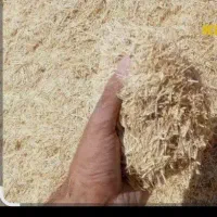 فروش مقداری ۵تن کاه کمپاین