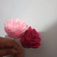 گل ربانی