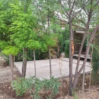 باغچه ۸۰۰ متری واقع در کهریزک، روستای سلمان آباد|فروش دفتر صنعتی، کشاورزی، تجاری|کهریزک, |دیوار