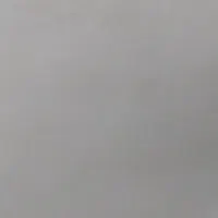 یک نفر همخانه میخام