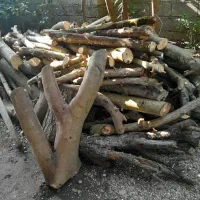 فروش چوب میوه ای وهیزم مقداردوتن