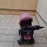 کالسکه دلیجان|کالسکه و لوازم جانبی|تهران, تهرانسر شرقی|دیوار