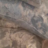 بالشت
