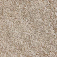 شالی دم سیاه قلم درشت به شرط|عمدهفروشی|گنبد کاووس, |دیوار