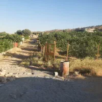 چندقطعه زمین مسکونی باغی چشمه کبود