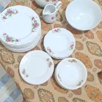ظروف پذیرایی