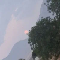 معلم خصوصی دوره ابتدایی