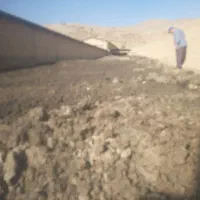 کود مرغی. تتمگذار