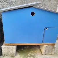 لانه مرغ و کبوتر